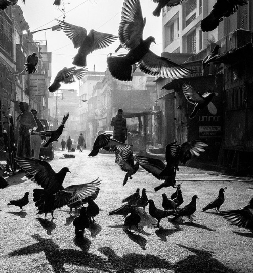 Untitled design (11)