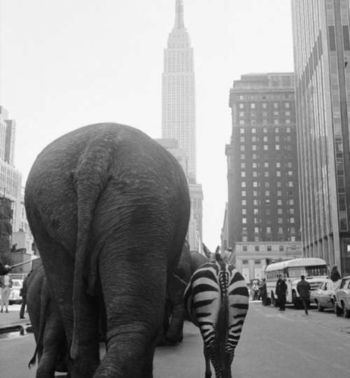 Untitled design (12)