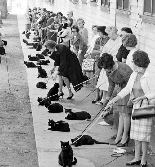 Untitled design (13)