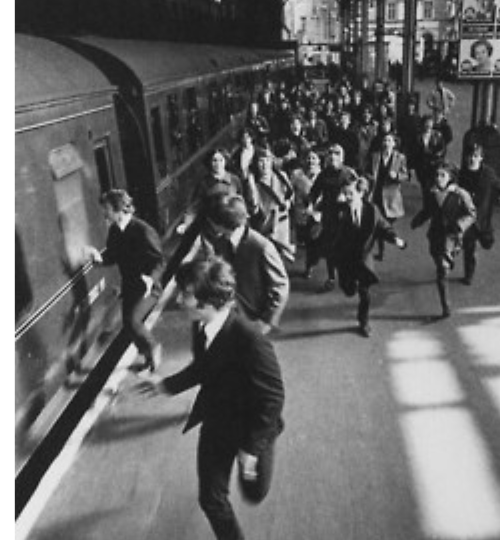 Untitled design (15)