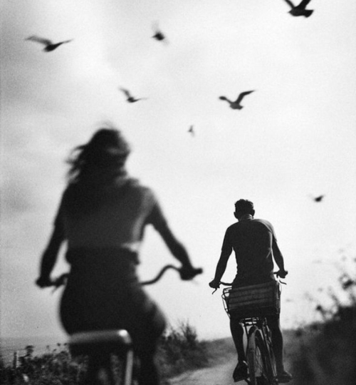 Untitled design (16)